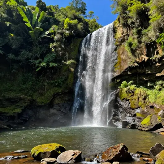 Cachoeira do Bracuí: Um Refúgio Natural em Angra dos Reis Cachoeira do Bracuí: Um Refúgio Natural em Angra dos Reis