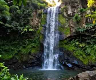 Descubra a Cachoeira Água Encantada em Angra dos Reis Descubra a Cachoeira Água Encantada em Angra dos Reis