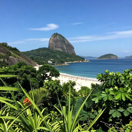 Descubra a Ilha dos Macacos Descubra a Ilha dos Macacos