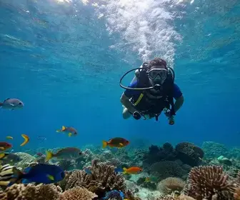 Experimente o Batismo de Mergulho em Angra dos Reis