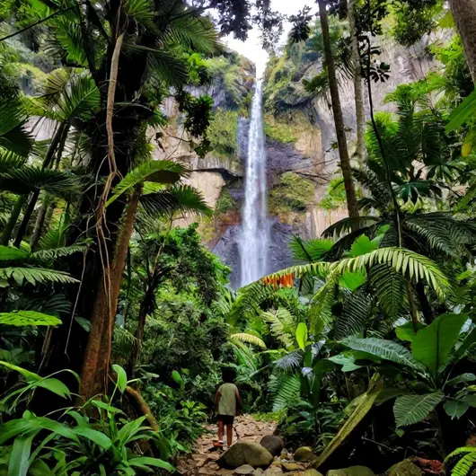 Explorando a Trilha Cachoeira do Encanto
