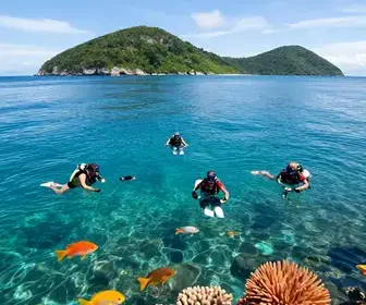 Guia de Mergulho em Angra dos Reis: 17 opções imperdíveis Guia de Mergulho em Angra dos Reis: 17 opções imperdíveis