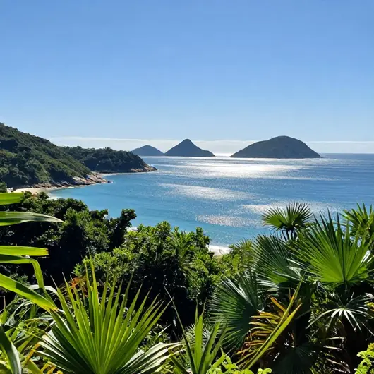 Mergulho em Angra dos Reis: Uma Aventura Inesquecível Mergulho em Angra dos Reis: Uma Aventura Inesquecível