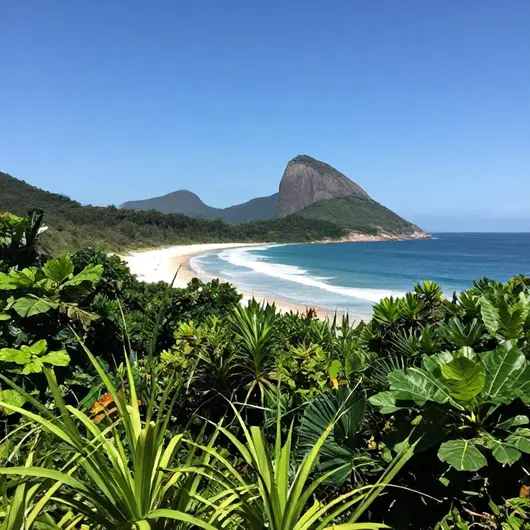Reserva Biológica Estadual da Praia do Sul