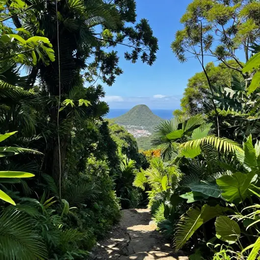 Trilhas da Ilha Grande: Explore as Belezas Naturais Trilhas da Ilha Grande: Explore as Belezas Naturais